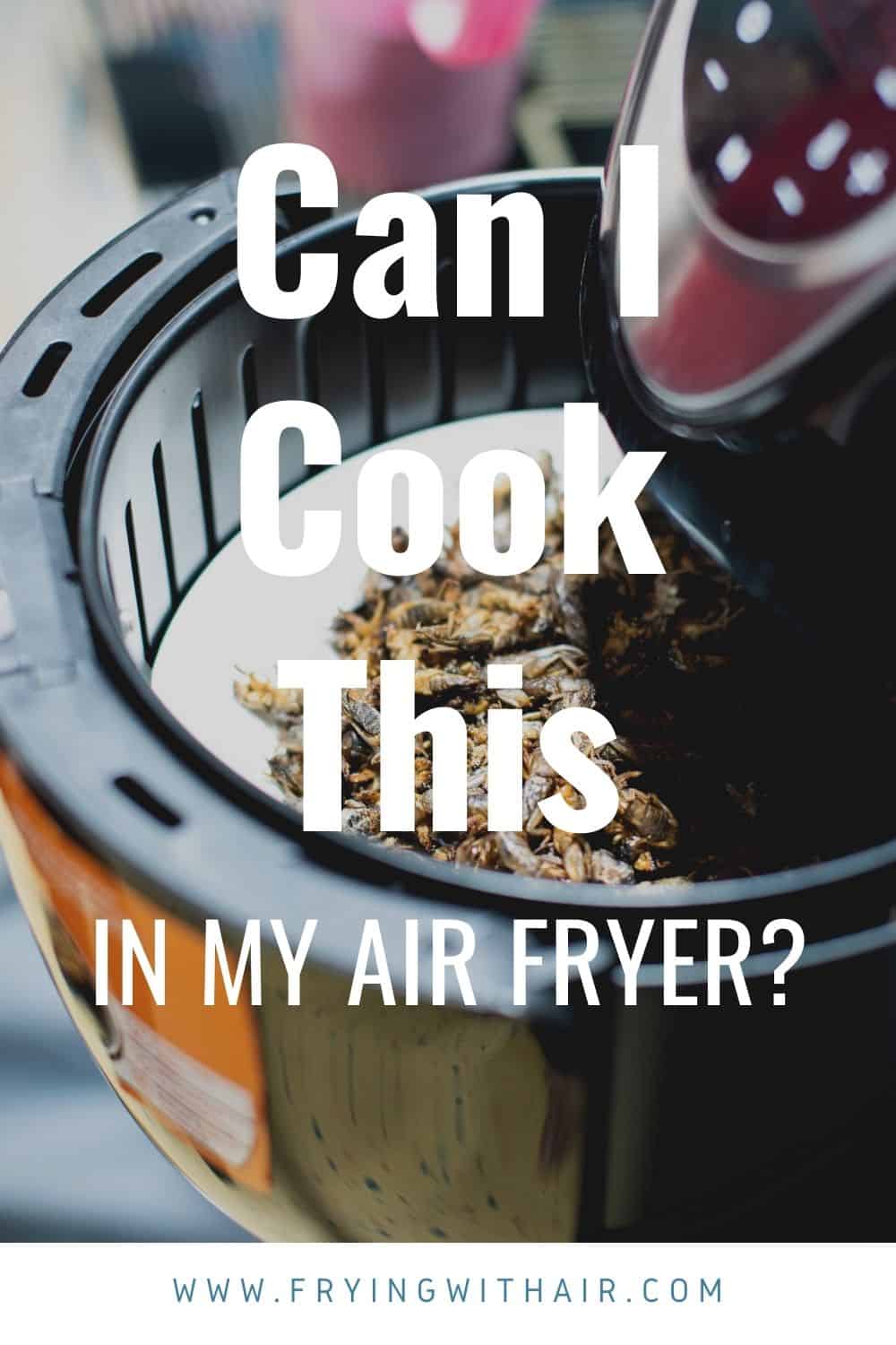 What Can You Not Cook In An Air Fryer (1)
