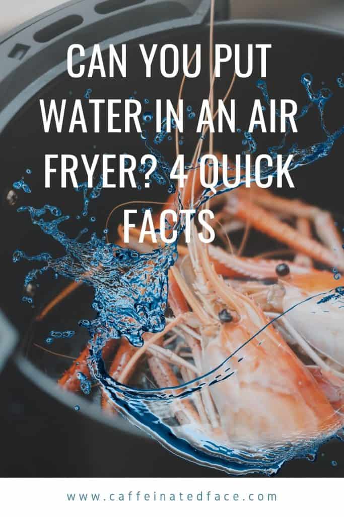 Can you put water in an air fryer? 4 Quick Facts